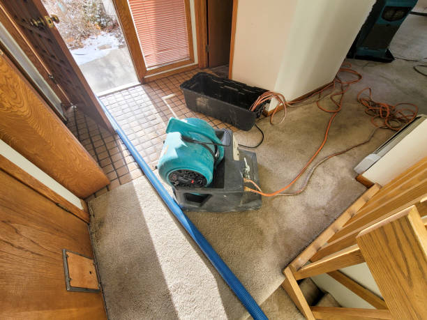 Best Emergency water extraction  in Rose Valley, PA