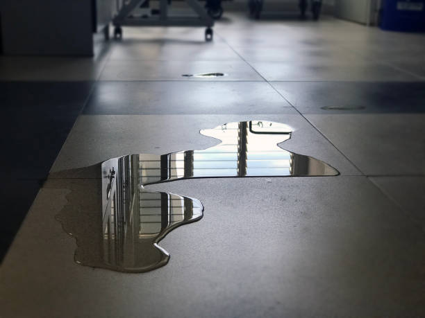 Best 24/7 water damage repair  in Rose Valley, PA