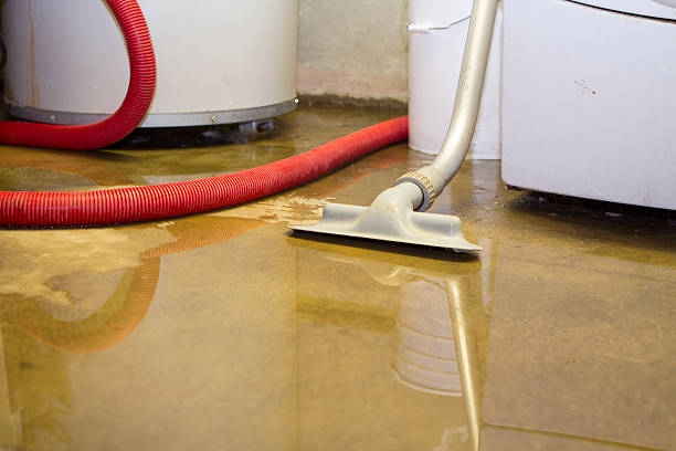  Rose Valley, PA Water damage restoration Pros