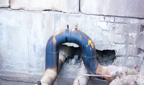 Best Local water damage restoration  in Rose Valley, PA