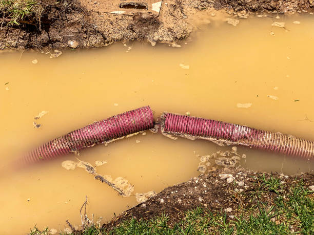 Best Water damage restoration near me  in Rose Valley, PA