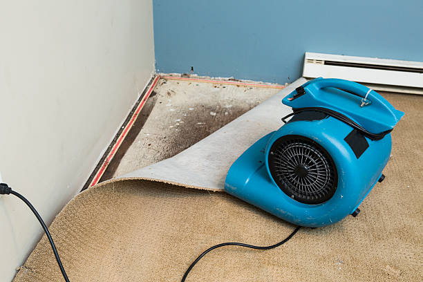 Best Residential water damage restoration  in Rose Valley, PA